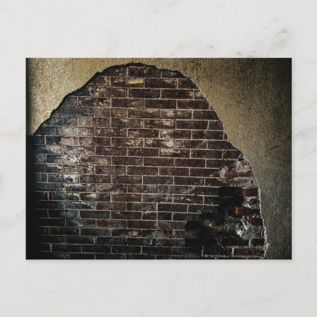 Exposed Red Brick in Weathered Wall  Postcard (Front)