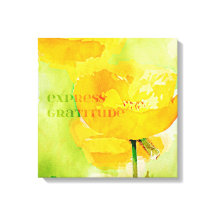Express Gratitude Orange Poppy