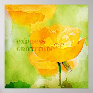 Express Gratitude Orange Poppy Poster