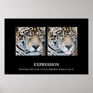 Expression Poster