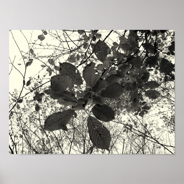 expression poster (Front)