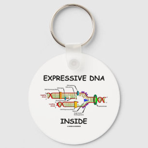 Expressive DNA Inside (DNA Replication) Key Ring