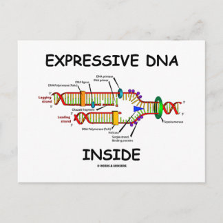 Expressive DNA Inside (DNA Replication) Postcard