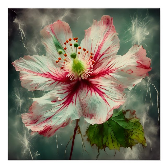 Exquisite Abutilon Poster (Front)