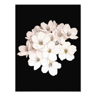 Exquisite Cherry Blossom Art Print