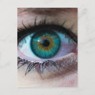 Exquisite green eye closeup surreal photo gift postcard