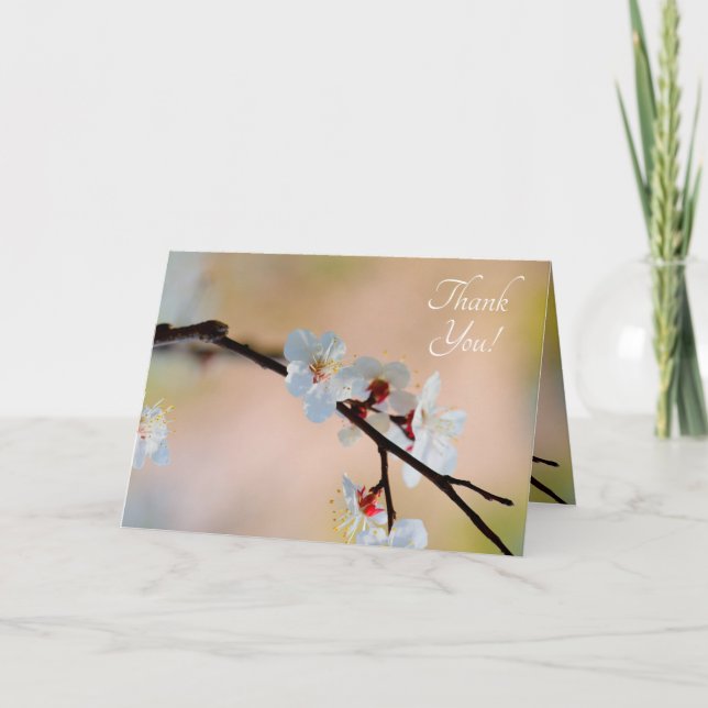 Exquisite Japanese Apricot Flowers Thank You Card (Front)