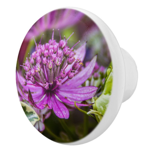 Exquisite magic of blossoms #1 ceramic knob (Right)
