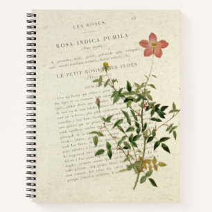 Exquisite Miniatures: Rosa indica pumila Notebook