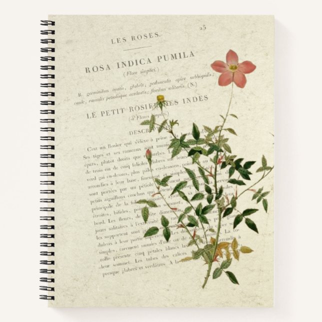 Exquisite Miniatures: Rosa indica pumila Notebook (Front)