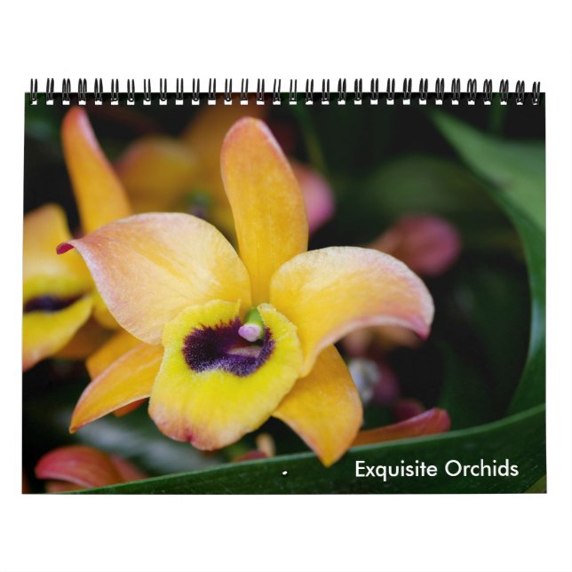 Exquisite Orchids Calendar (Cover)