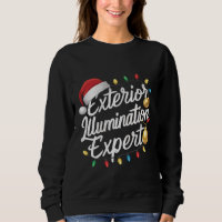 Exterior Illumination Expert Christmas Light Decor