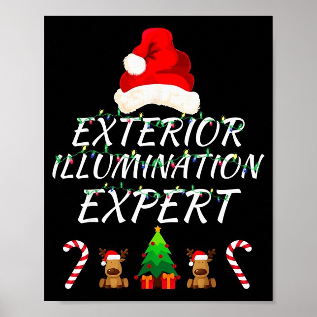 Exterior Illumination Expert Christmas Lights Deco Poster (Front)
