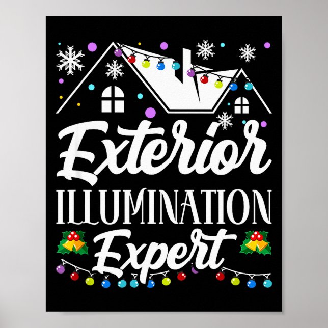 Exterior Illumination Expert Funny Christmas Decor (Front)