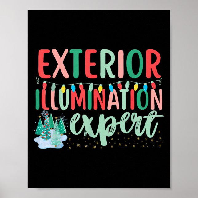 Exterior Illumination Expert Funny Christmas Light Poster (Front)