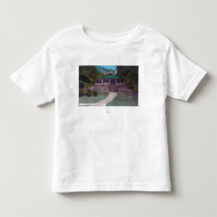 Exterior View of a CottageCazadero, CA Toddler T-Shirt