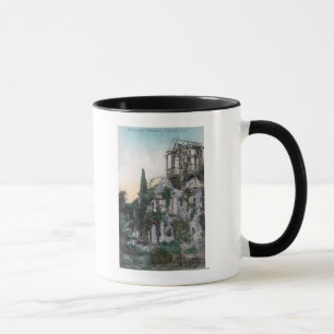Exterior View of a Picturesque Residence Mug