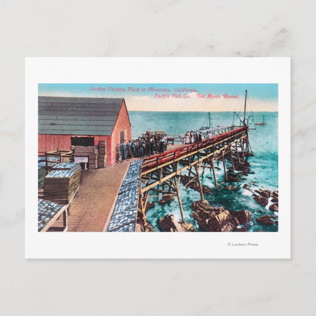 Exterior View of Del Monte Sardine Packing Postcard (Front)