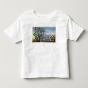 Exterior View of St. Mary's Church Toddler T-Shirt