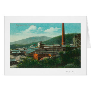 Exterior View of the Balaktala Smelter