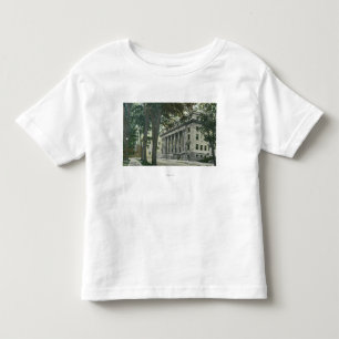 Exterior View of the County Court House Toddler T-Shirt
