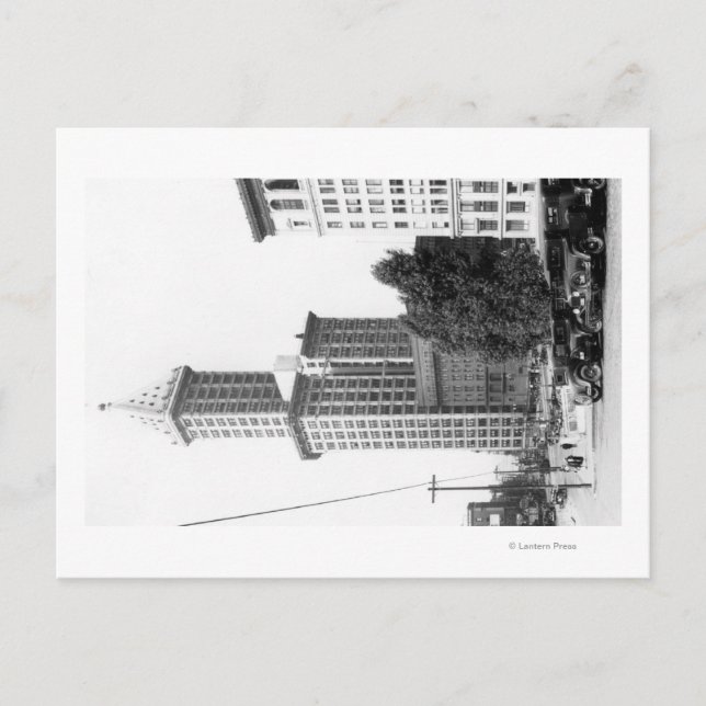 Exterior View of the Smith Tower Postcard (Front)