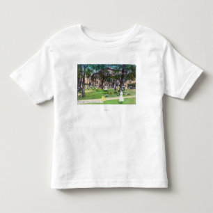 Exterior View of Washington School Toddler T-Shirt