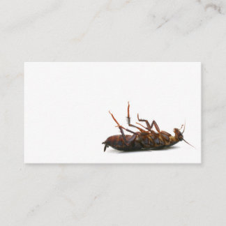 Exterminator business card