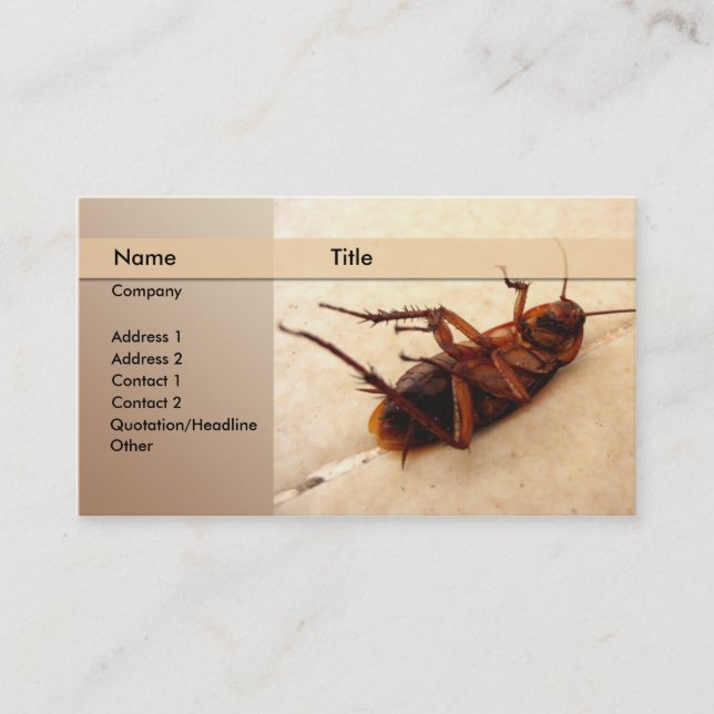 exterminator business card (Front)