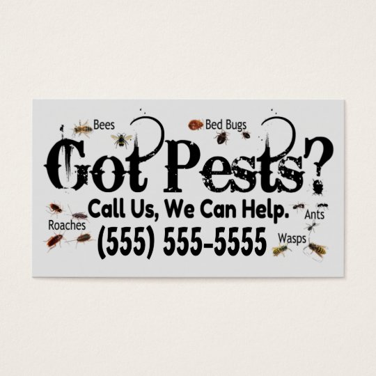 Exterminator Real Bugs Advertisement Business Card