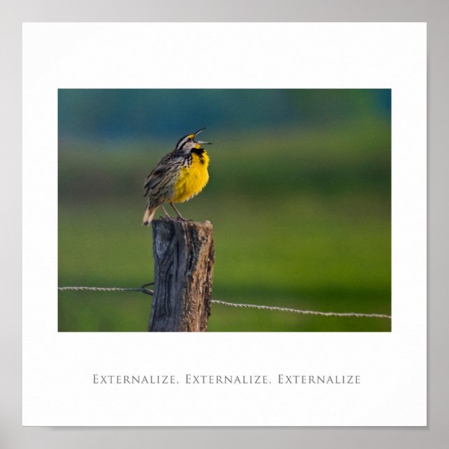 Externalise, Externalise, Externalise Poster (Front)