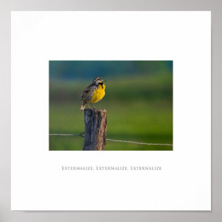 Externalise, Externalise, Externalise Poster