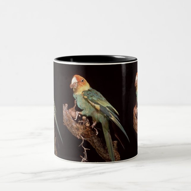 Extinct Carolina Parakeet Two-Tone Coffee Mug (Center)