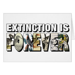 Extinction Is Forever