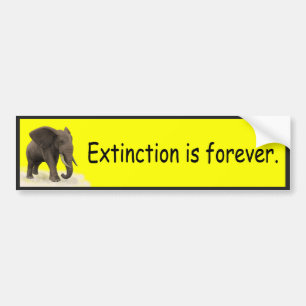 Extinction is Forever - Bumper Sticker