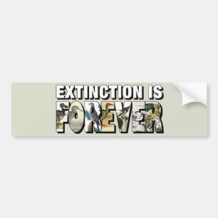 Extinction Is Forever Bumper Sticker