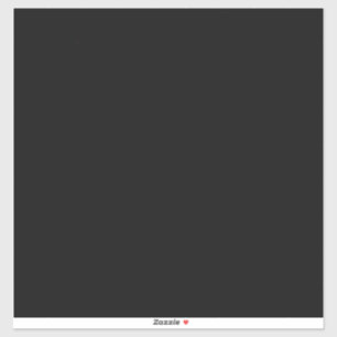 Extra-Large 14" x 14" Custom-Cut Vinyl Stickers