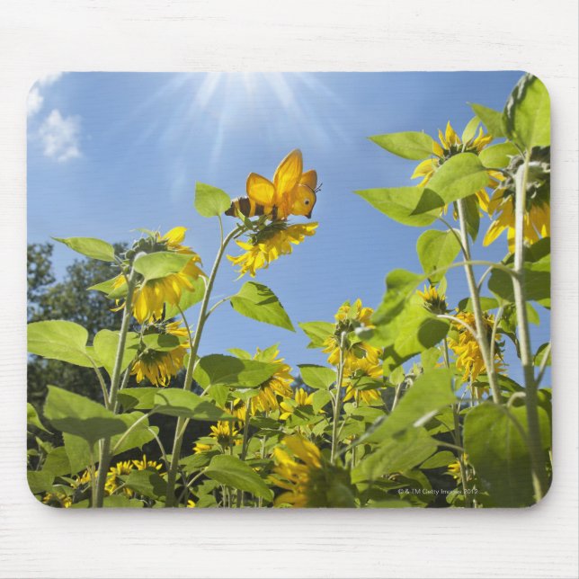 extra large bee on Sunflower Mouse Mat (Front)