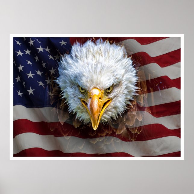 Extra Lg. Powerful USA Eagle Flag Poster (Front)