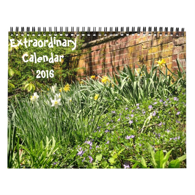 Extraordinary-2016 calendar (Cover)
