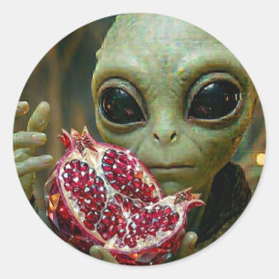 Extraterrestrial  Alien and Pomegranate   Classic Round Sticker