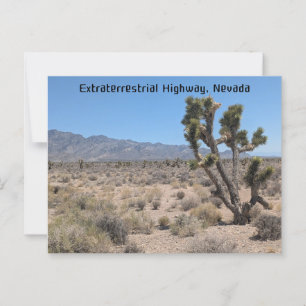 Extraterrestrial Highway, Nevada desert Postcard