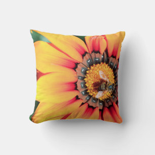 Extreme Close-Up Of A Bee Collecting Pollen Cushion