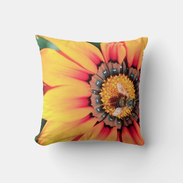 Extreme Close-Up Of A Bee Collecting Pollen Cushion (Front)