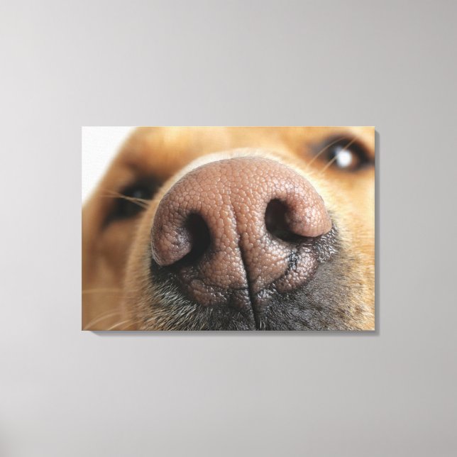 Extreme close-up of a dog nose. canvas print (Front)