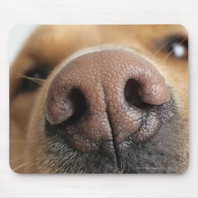 Extreme close-up of a dog nose. mouse mat (Front)