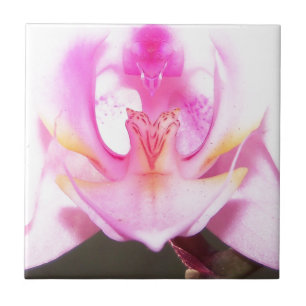 extreme close up of the inside of an orchid flower tile