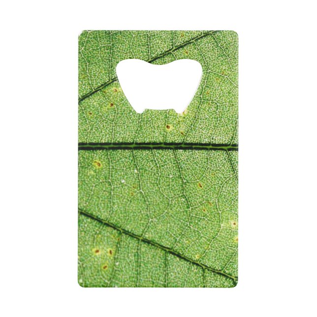 Extreme Green Leaf (Front)