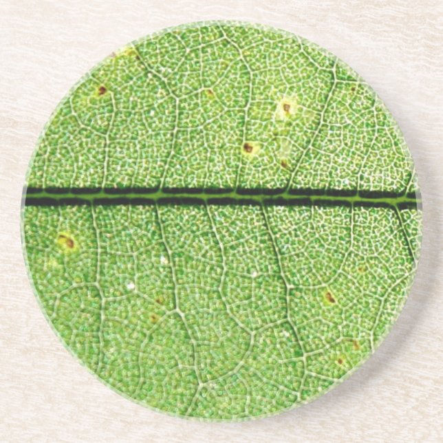 Extreme Green Leaf Coaster (Front)