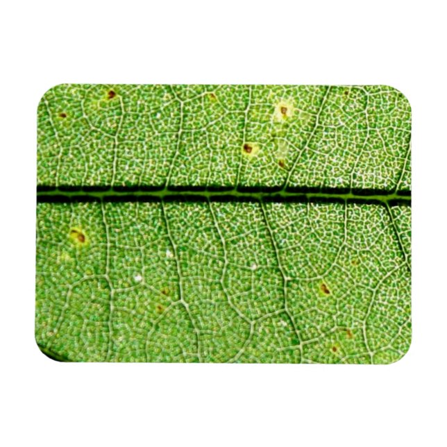 Extreme Green Leaf Magnet (Horizontal)